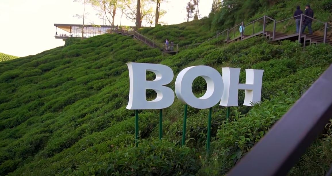 BOH Tea Centre – Sungai Palas Tea Centre, Cameron Highlands – Puri ...