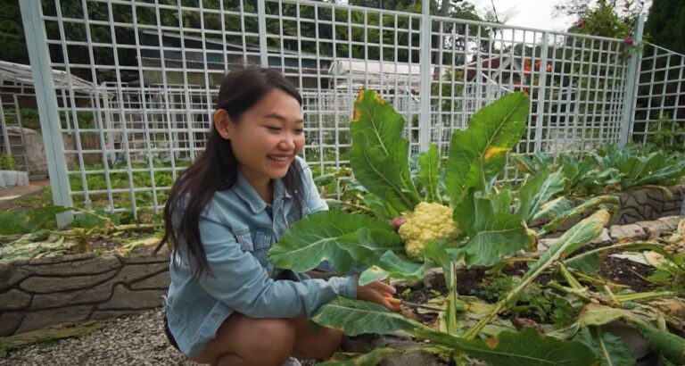 Fraser's Hill - Fraser's Edible Garden